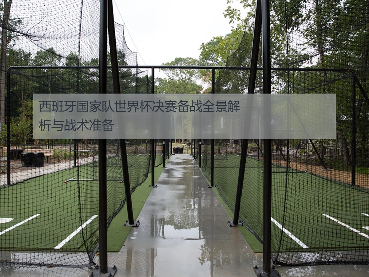 西班牙国家队世界杯决赛备战全景解析与战术准备